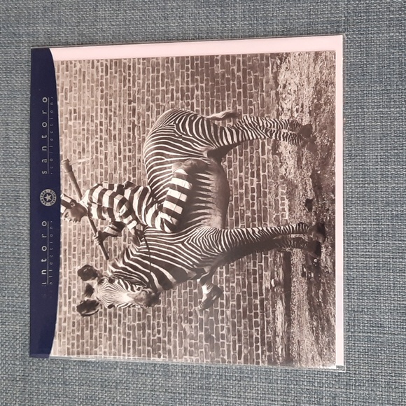 Greeting Cards 7 Pieces Assorted Adult Blank Fun Silly Pictures NWT - Picture 5 of 8